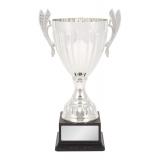 tennis cup 2