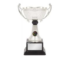 tennis cup 1